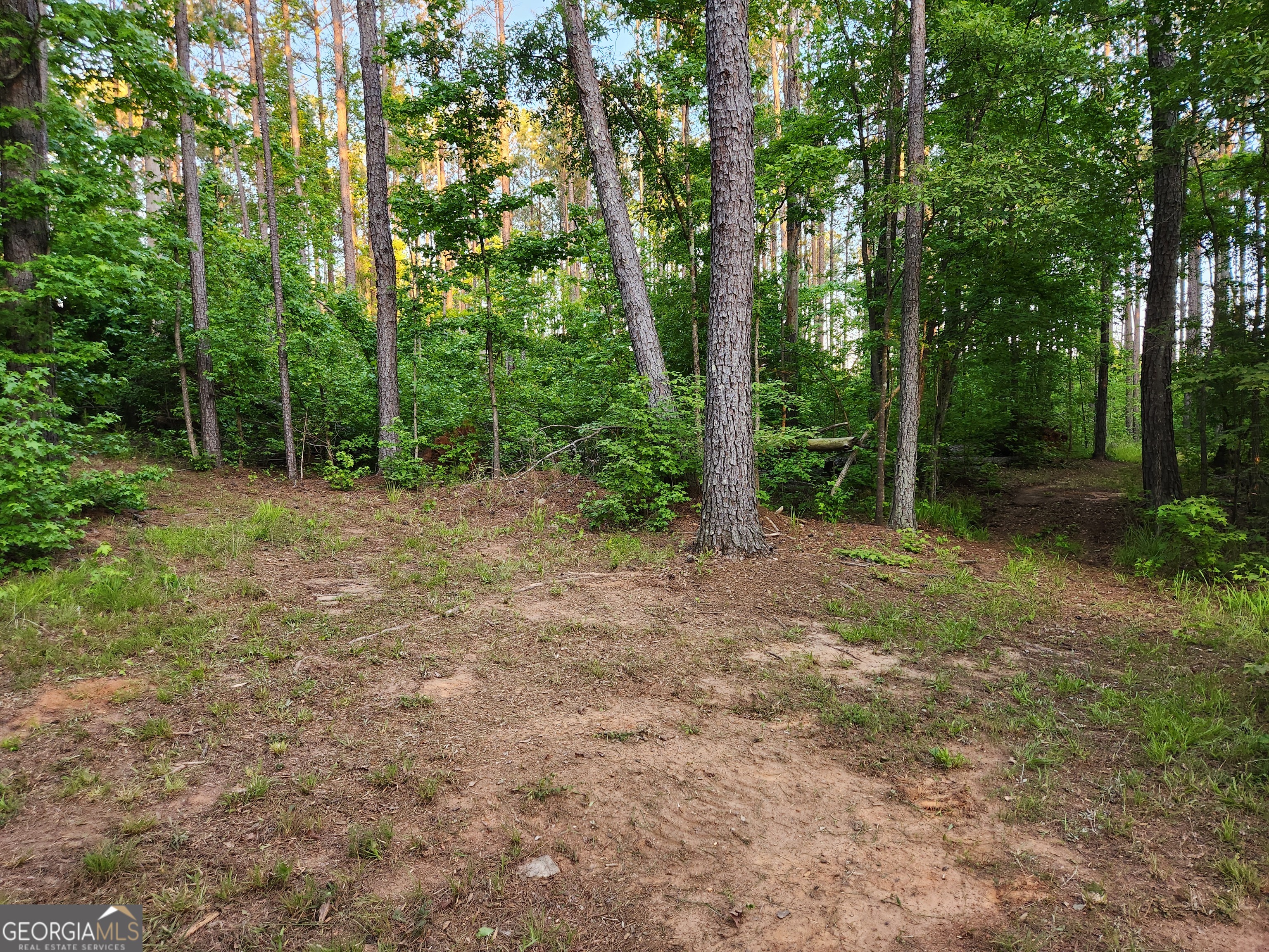 840 Amelia Road Locust Grove GA 30248