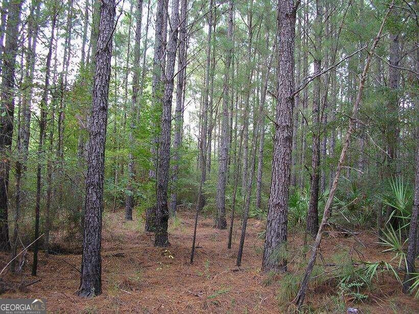 0 Jamestown Road Waycross GA 31503