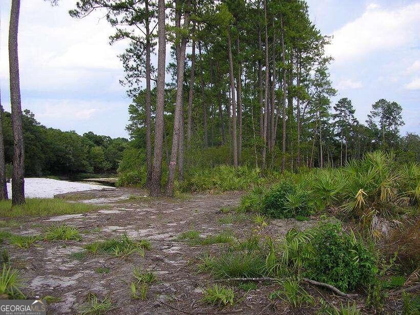 0 Jamestown Road Waycross GA 31503