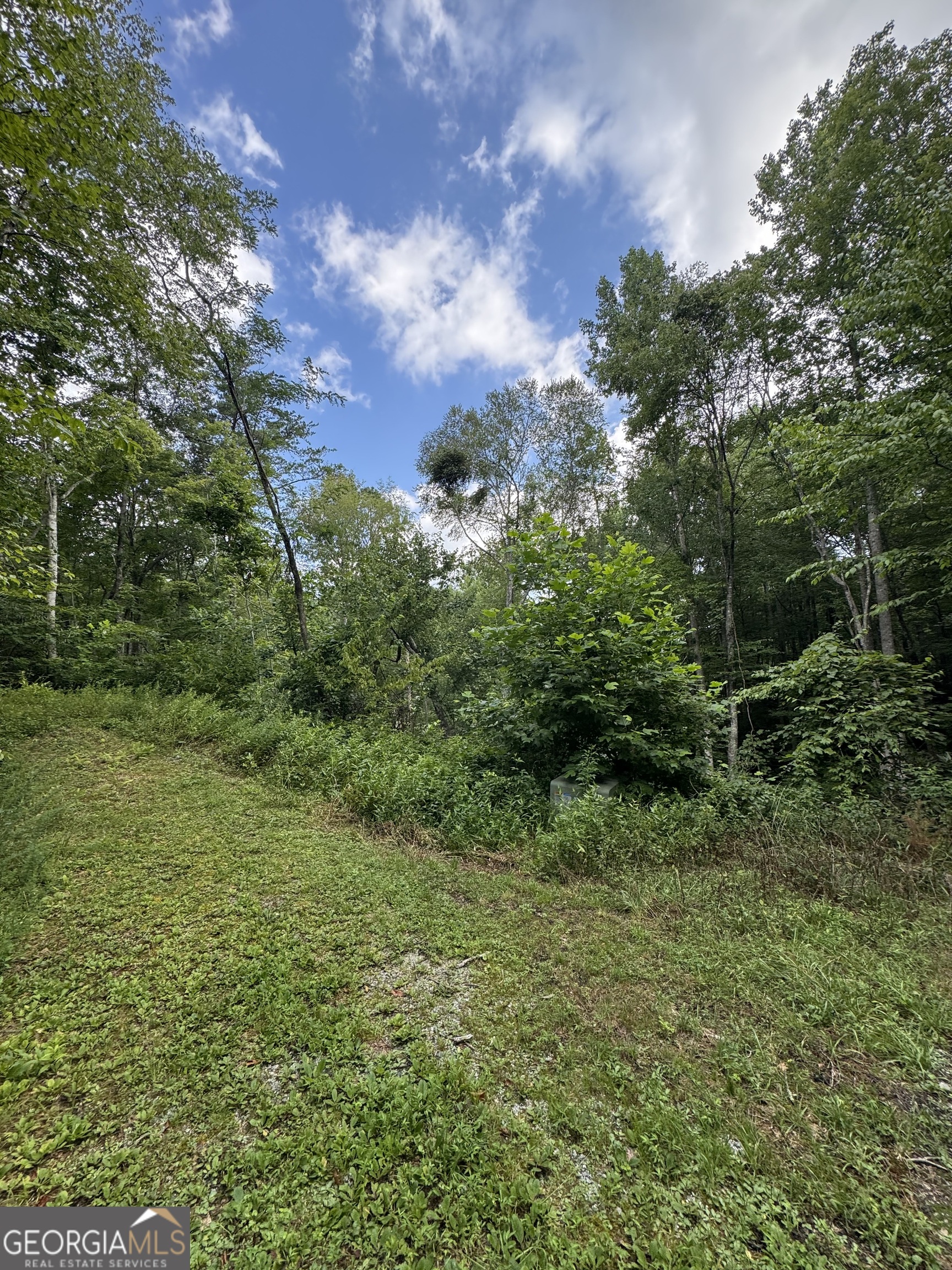 0 Crest Lane Rabun Gap GA 30568