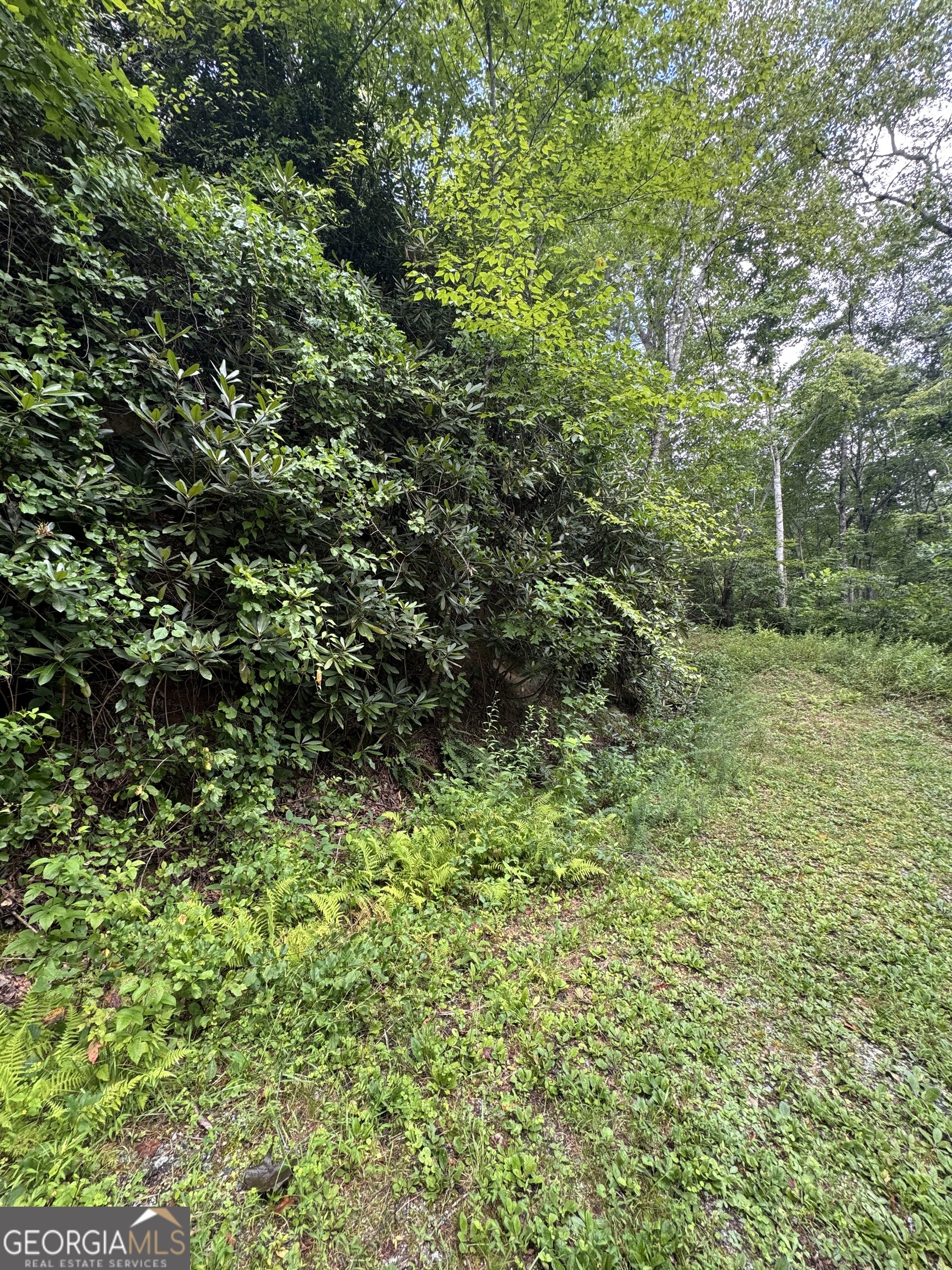 0 Crest Lane Rabun Gap GA 30568