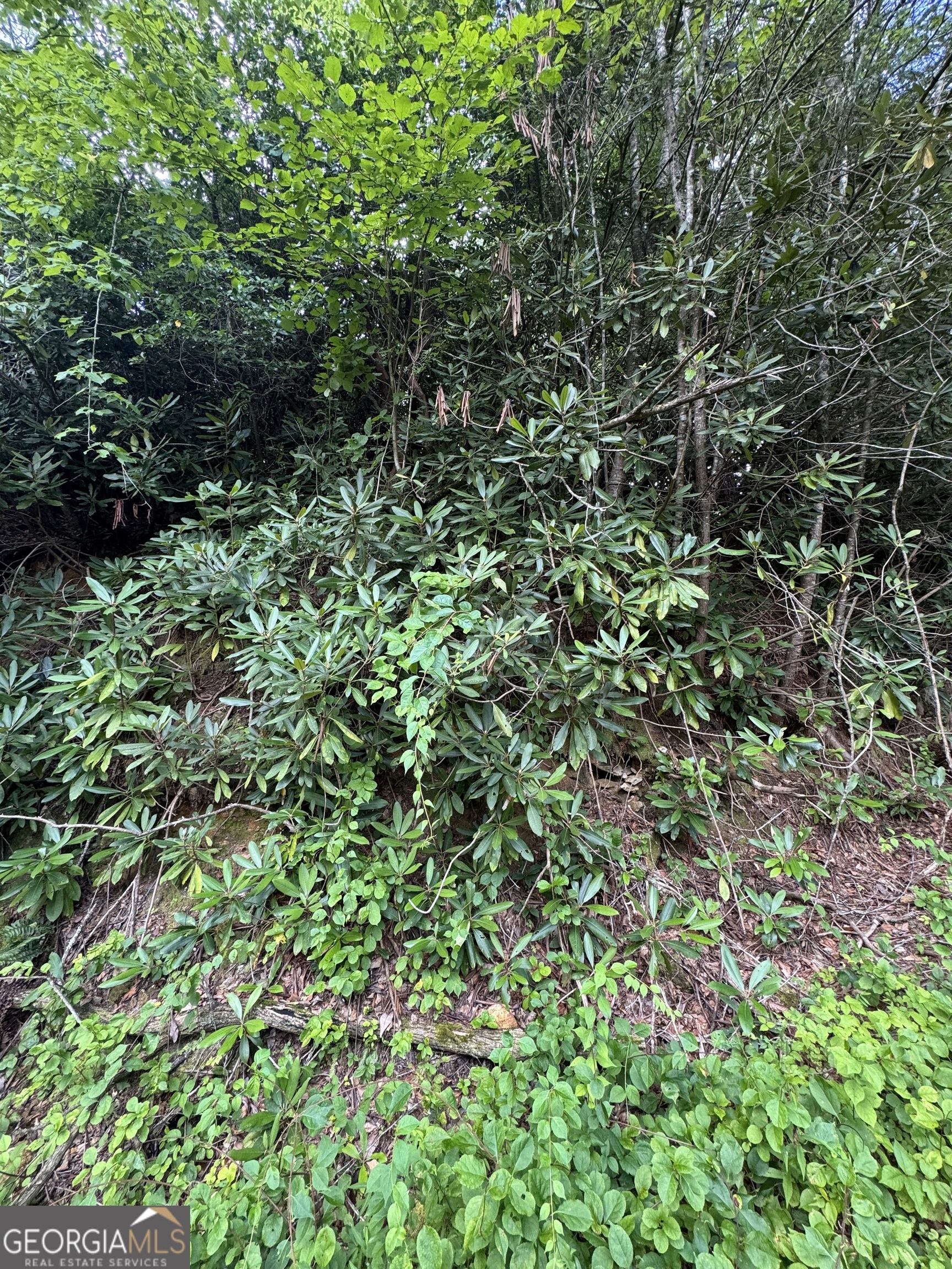 0 Crest Lane Rabun Gap GA 30568