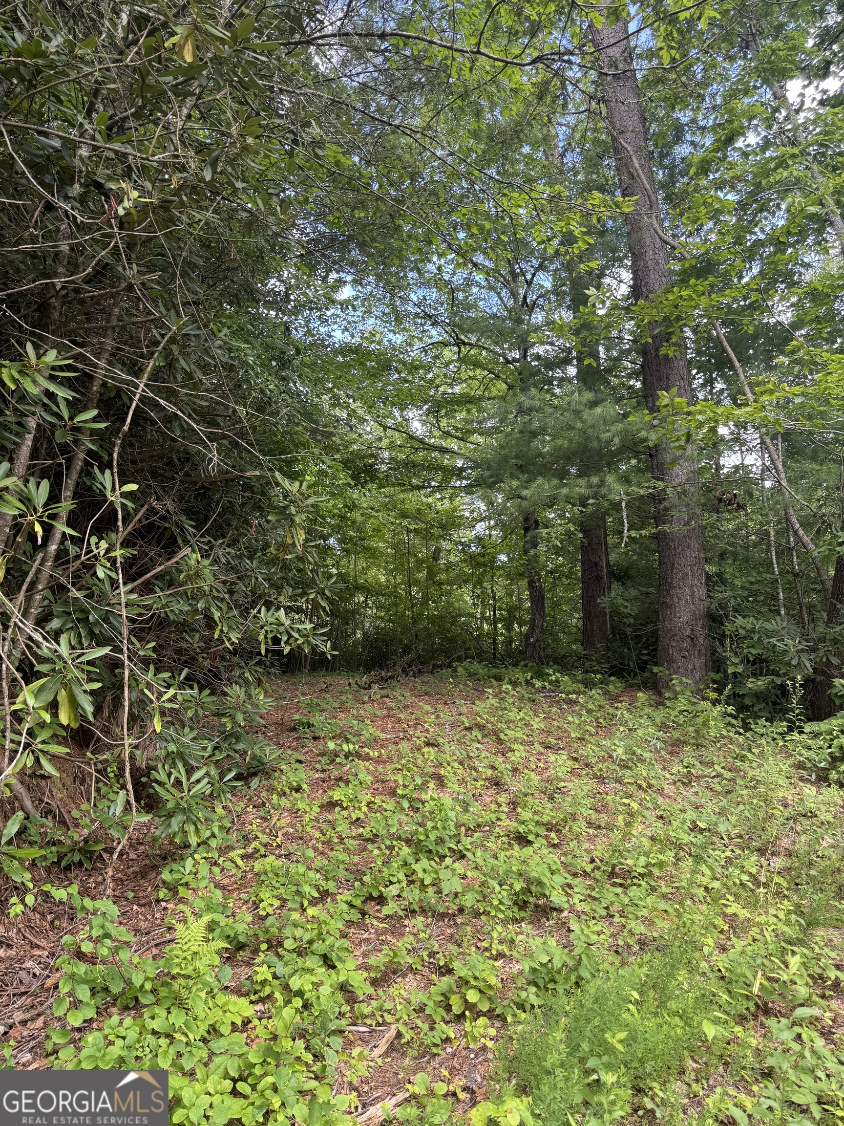 0 Crest Lane Rabun Gap GA 30568
