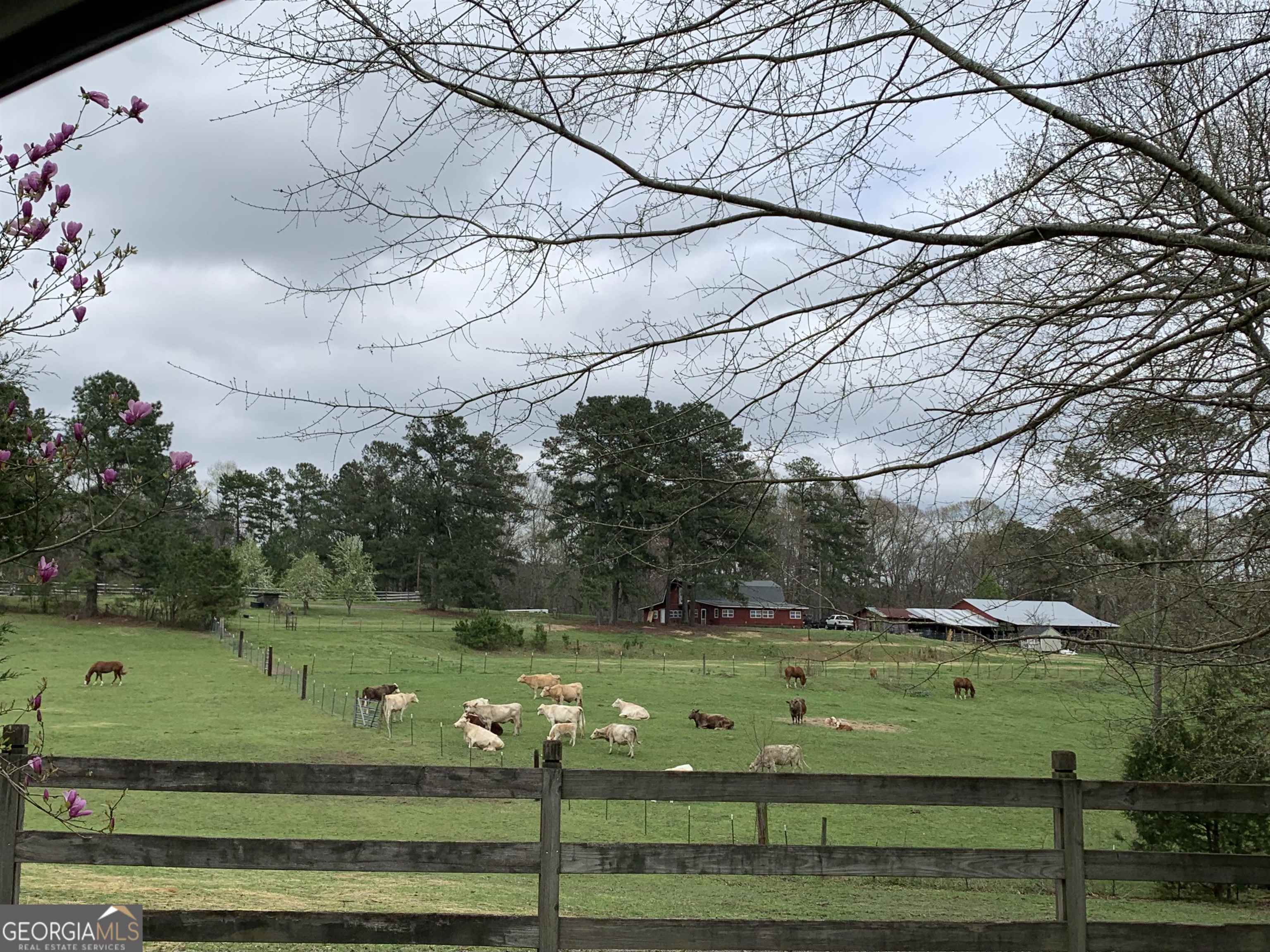 3185 Kellogg Creek Road Acworth GA 30102