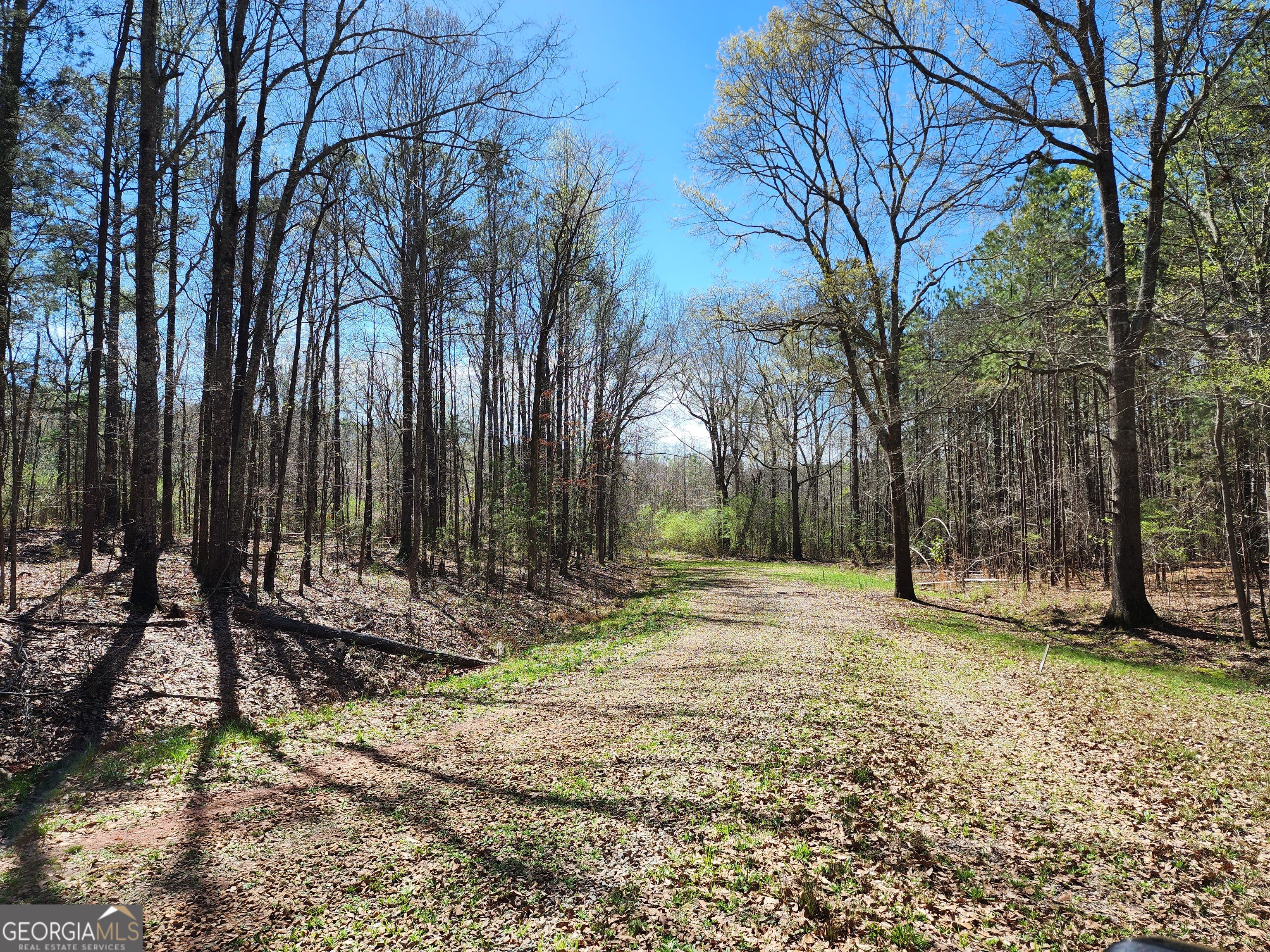 0 Deer Ridge Drive Hamilton GA 31811