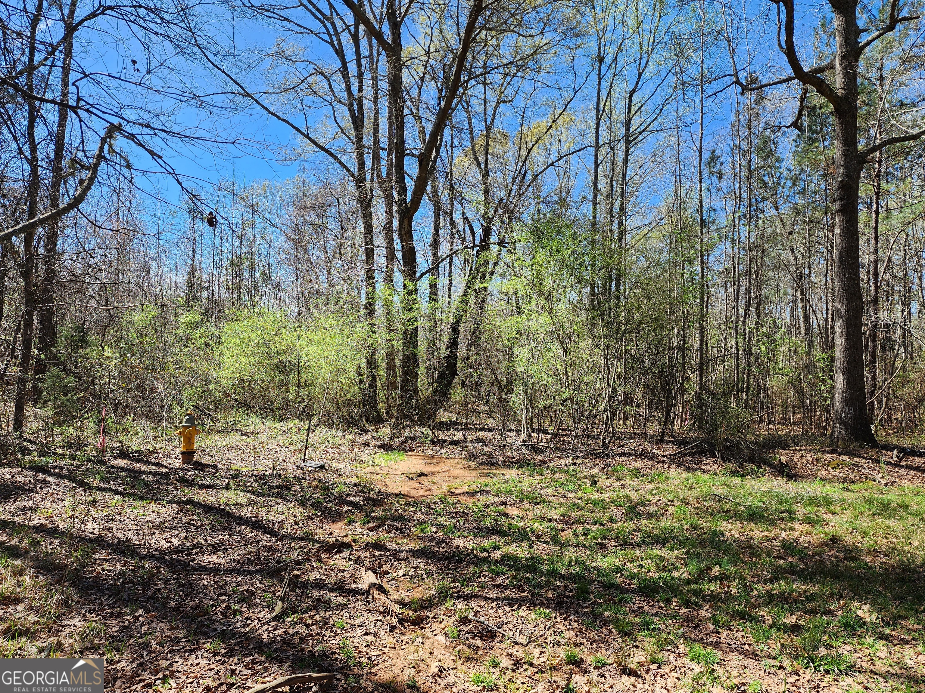 0 Deer Ridge Drive Hamilton GA 31811