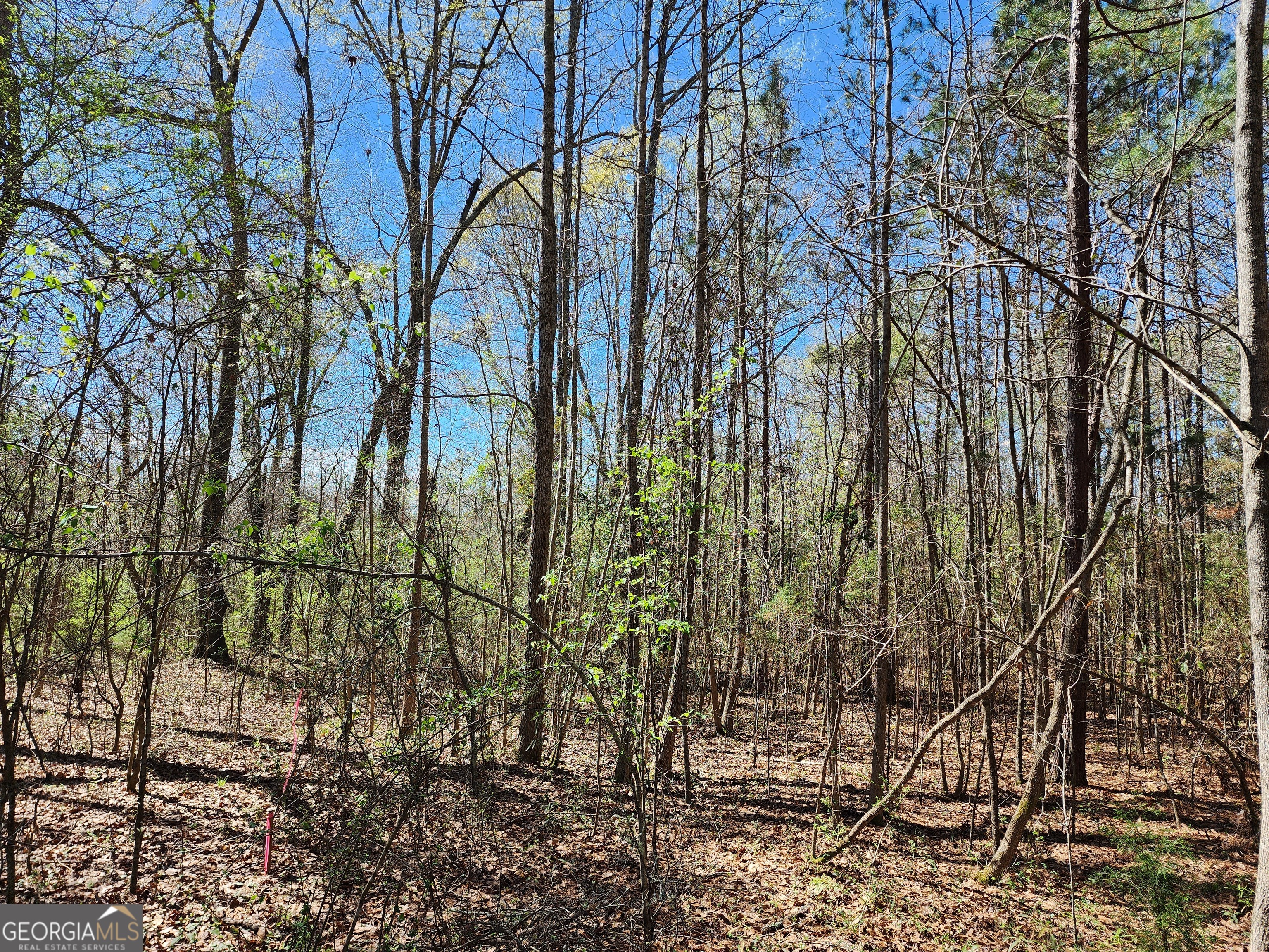 0 Deer Ridge Drive Hamilton GA 31811