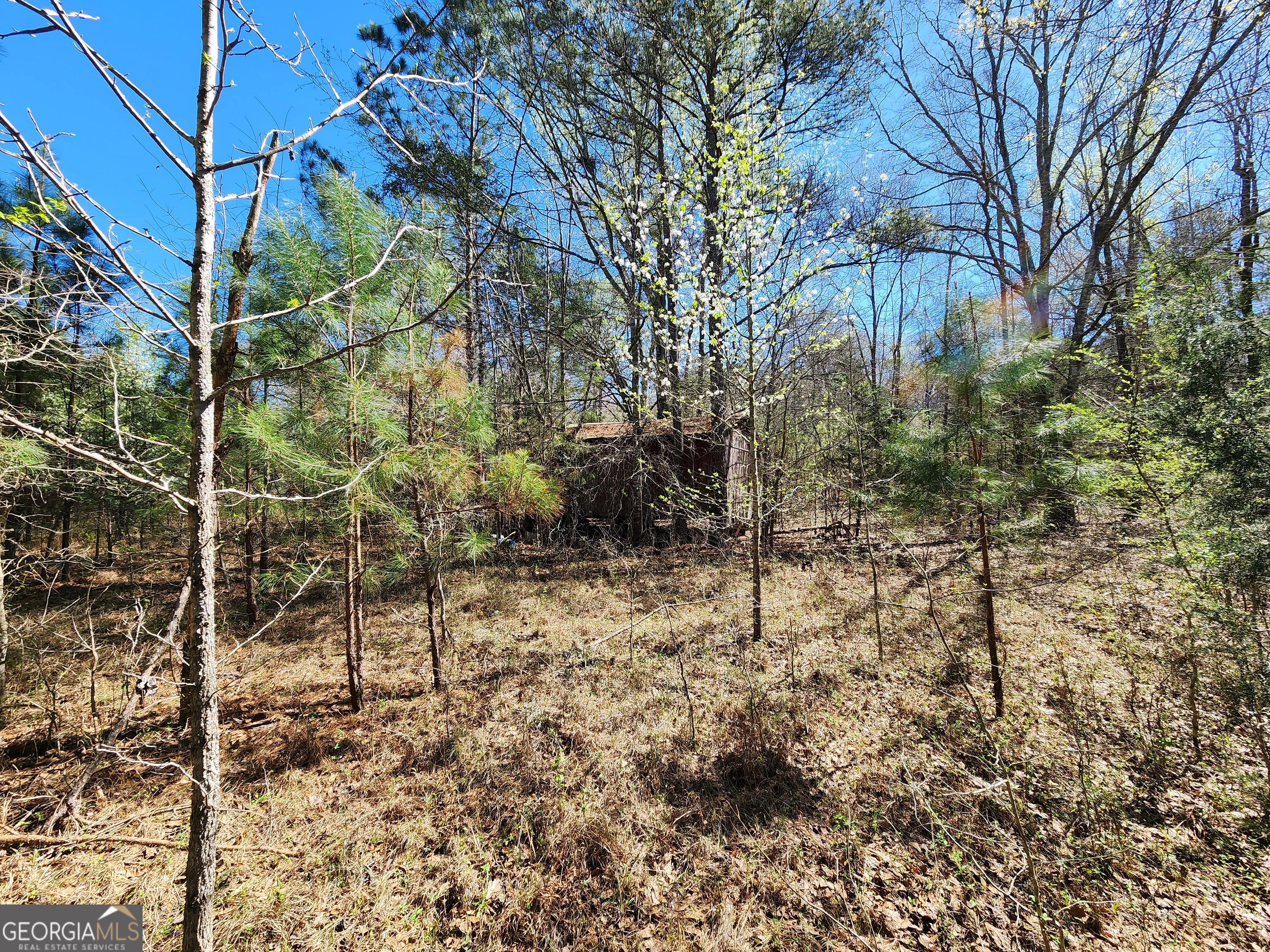 0 Deer Ridge Drive Hamilton GA 31811