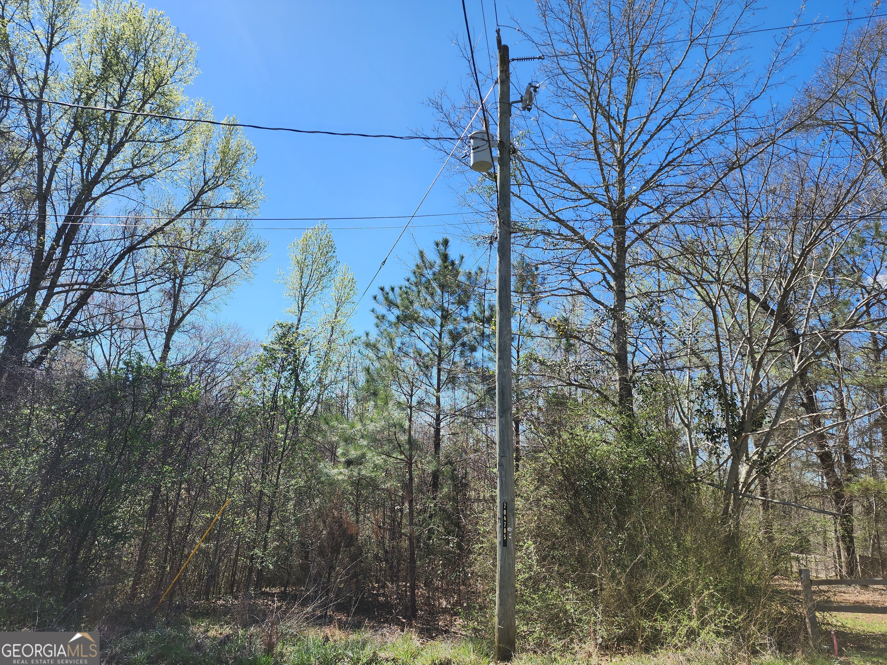 0 Deer Ridge Drive Hamilton GA 31811