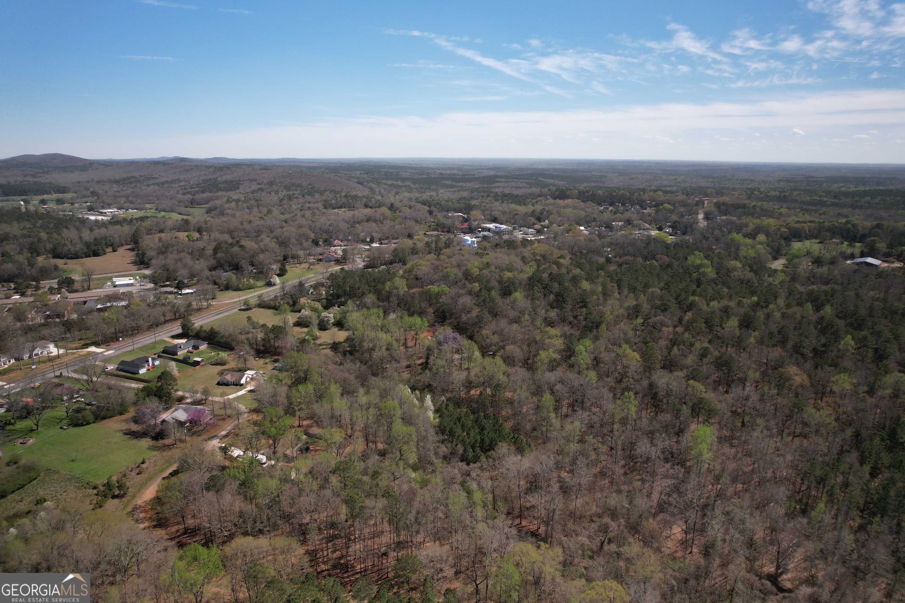 0 Deer Ridge Drive Hamilton GA 31811