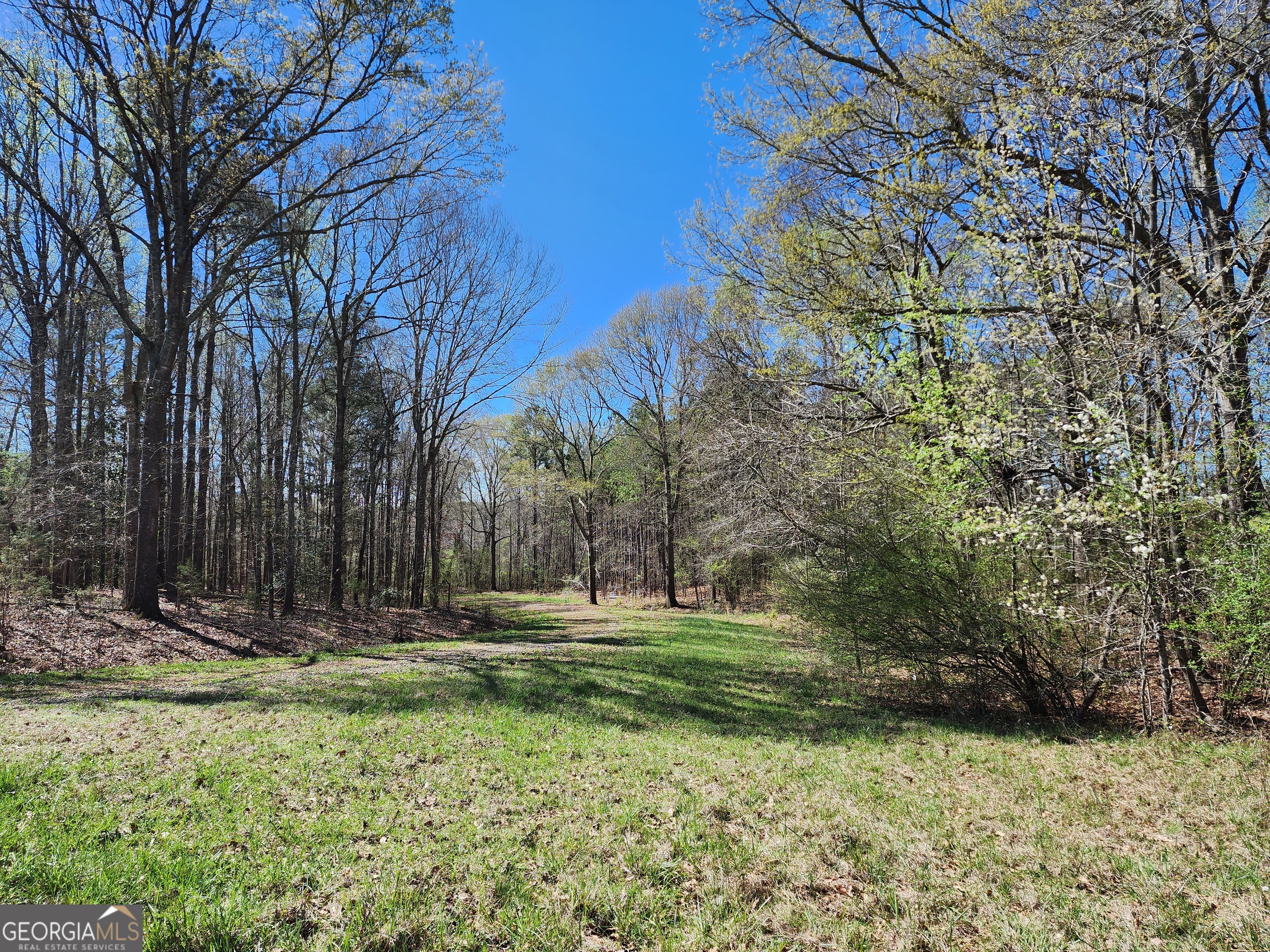 0 Deer Ridge Drive Hamilton GA 31811