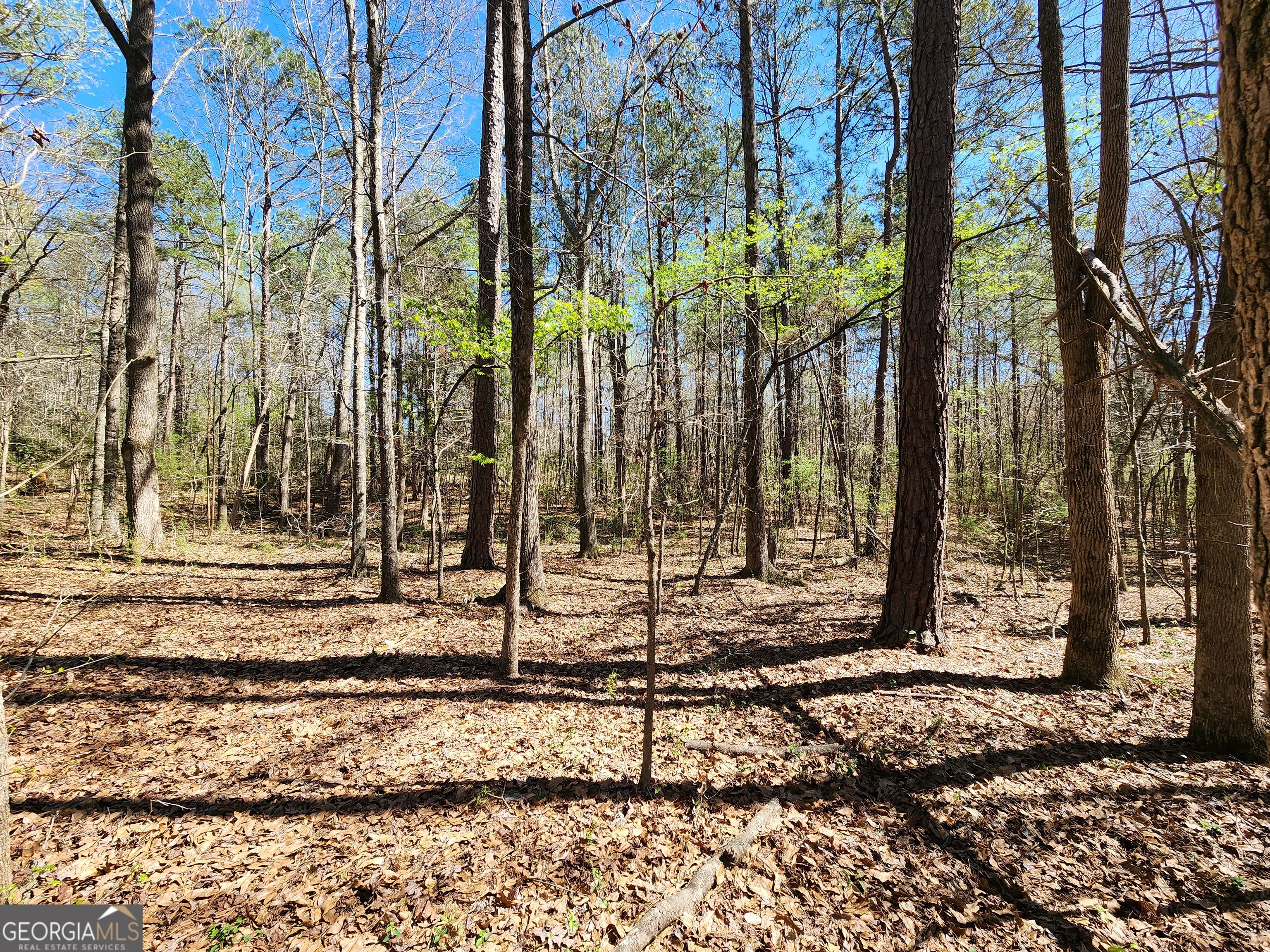 0 Deer Ridge Drive Hamilton GA 31811