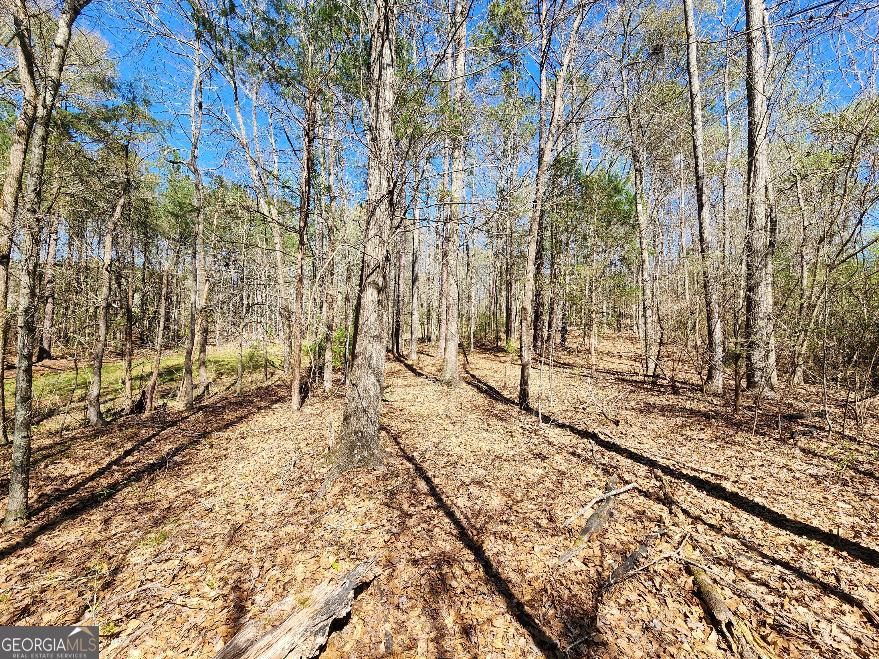0 Deer Ridge Drive Hamilton GA 31811