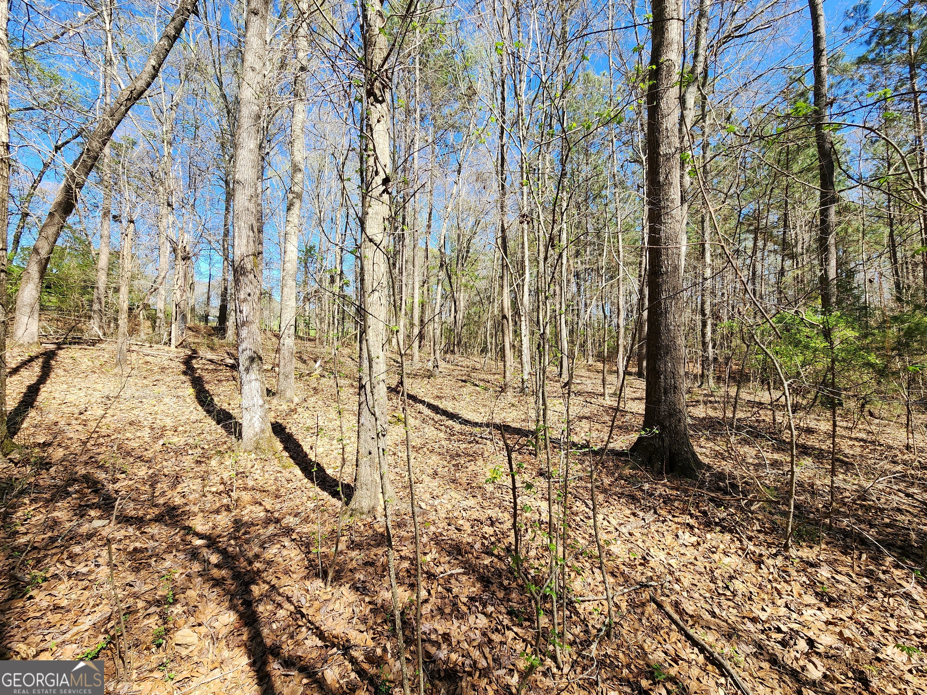 0 Deer Ridge Drive Hamilton GA 31811