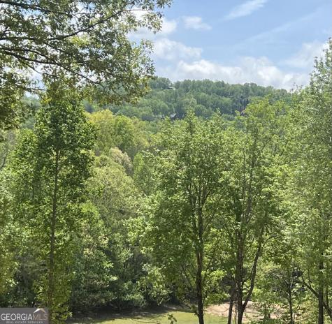 800 Sunrise Road Blue Ridge GA 30513