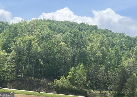 800 Sunrise Road Blue Ridge GA 30513