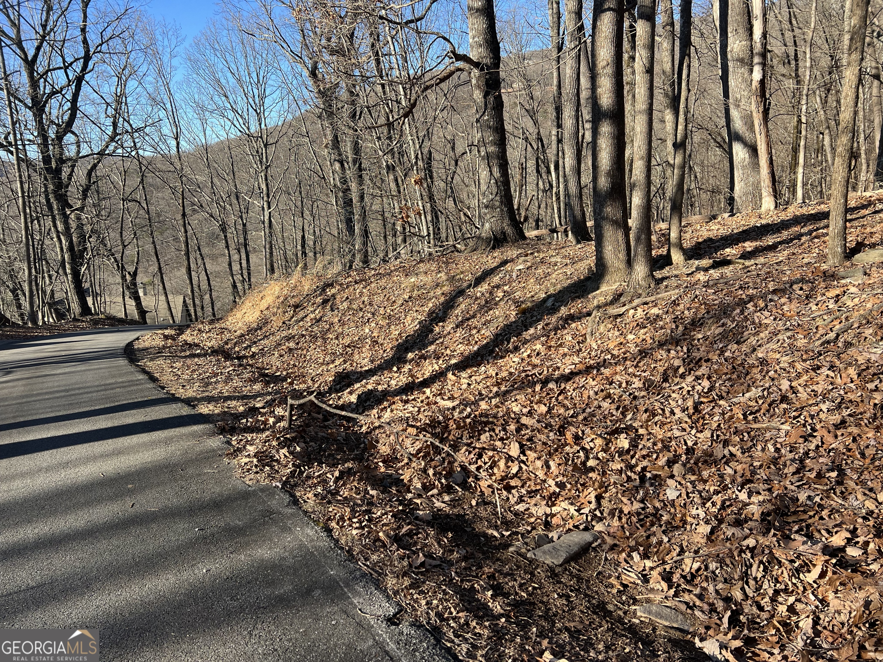 245 Sassafras Mountain Trail Jasper GA 30143