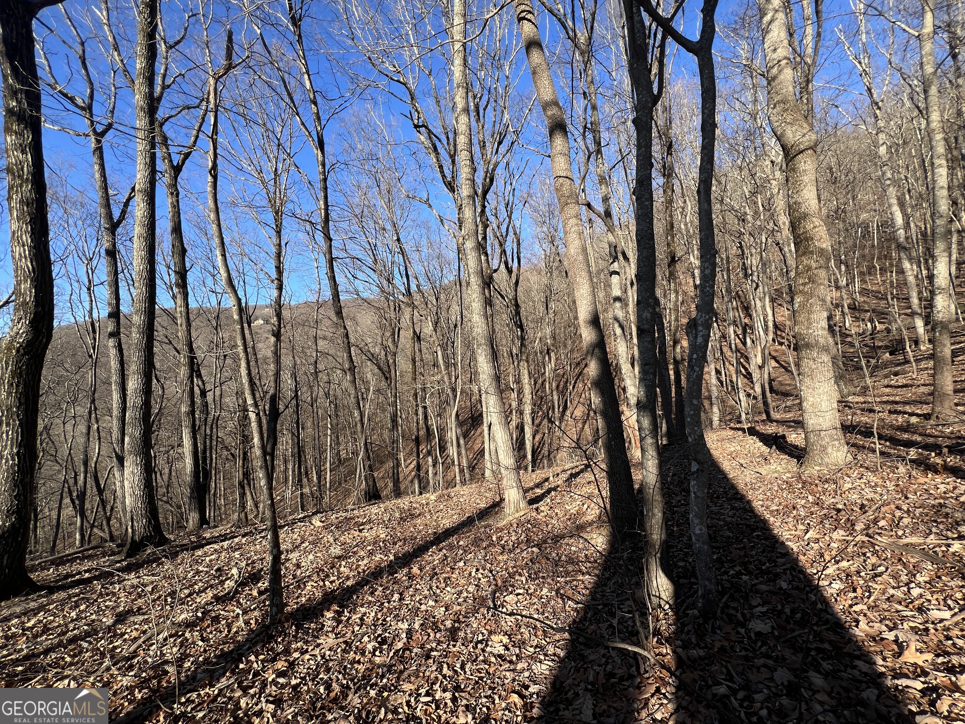 245 Sassafras Mountain Trail Jasper GA 30143