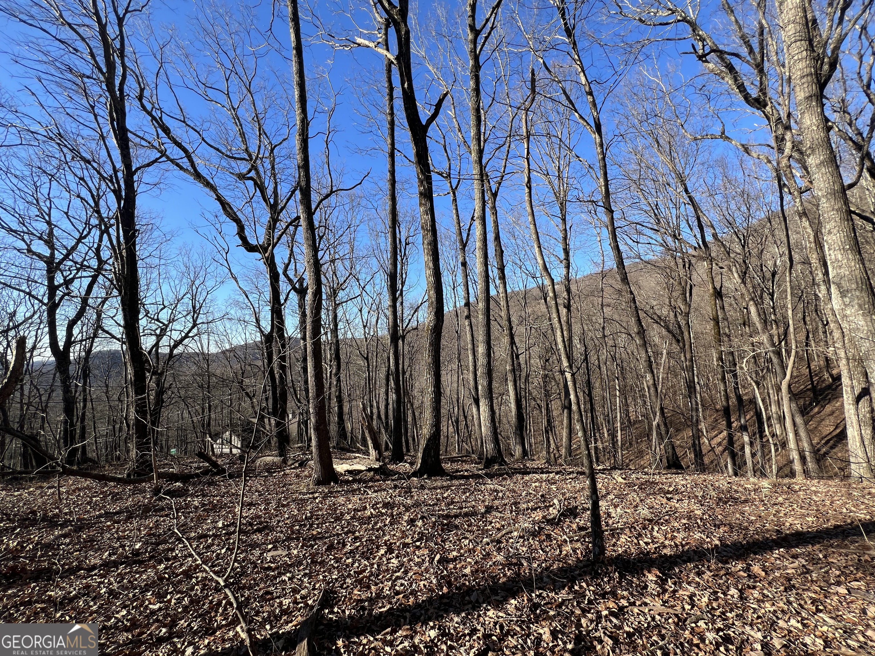 245 Sassafras Mountain Trail Jasper GA 30143