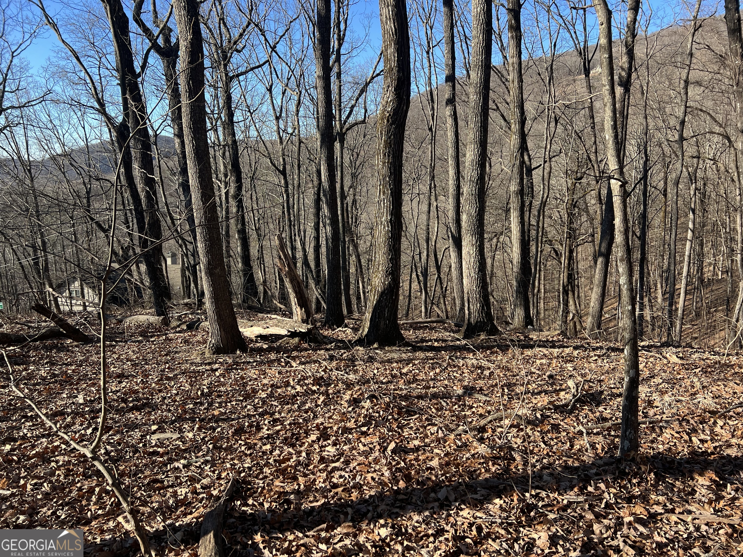 245 Sassafras Mountain Trail Jasper GA 30143