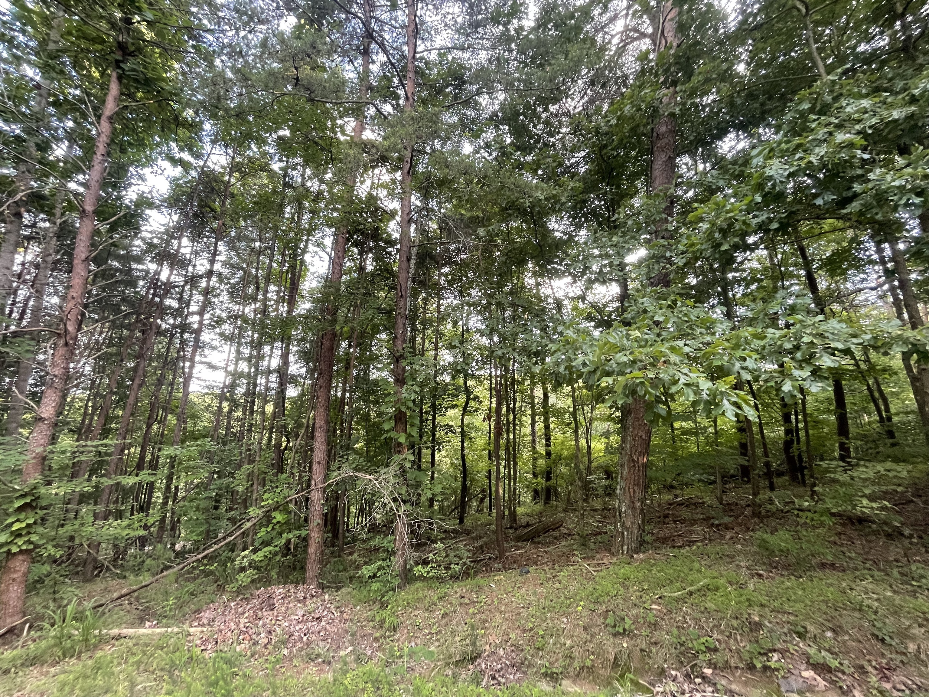 1059 Mayfield Lane NE Ranger GA 30734