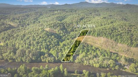 2.48 Acr Valley Lane Mineral Bluff GA 30559