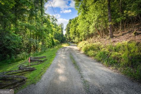 2.48 Acr Valley Lane Mineral Bluff GA 30559