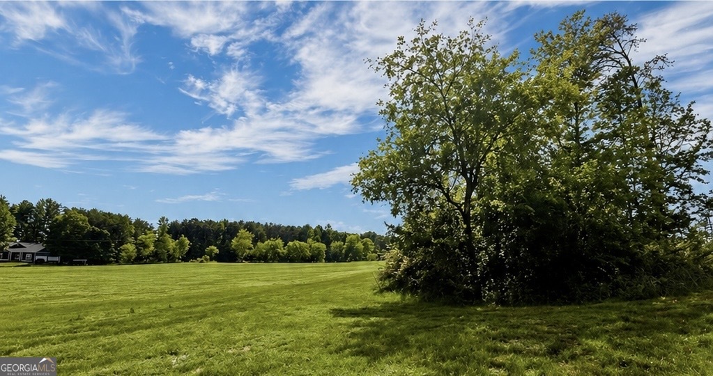 112 Palisade Drive Rydal GA 30171
