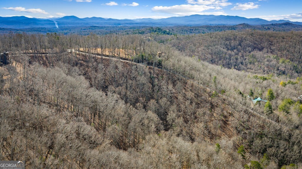Lot 20 Raven Ridge Circle Mineral Bluff GA 30559