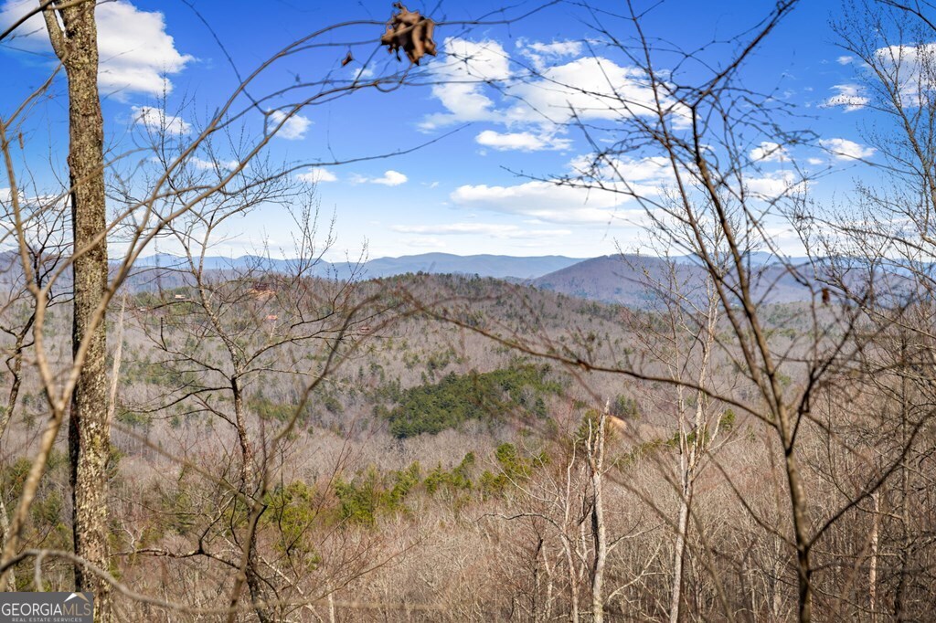 Lot 20 Raven Ridge Circle Mineral Bluff GA 30559