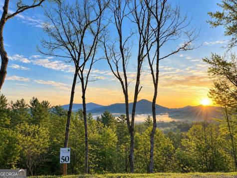 50 Mountain Laurel Ridge Mineral Bluff GA 30559