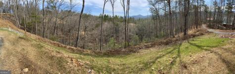 50 Mountain Laurel Ridge Mineral Bluff GA 30559