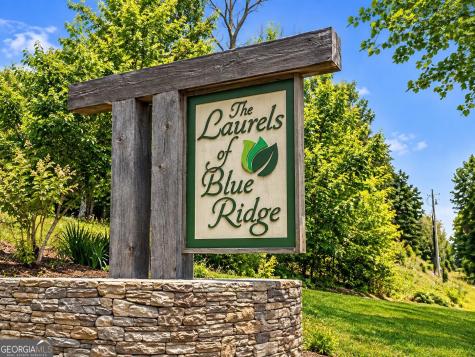 50 Mountain Laurel Ridge Mineral Bluff GA 30559