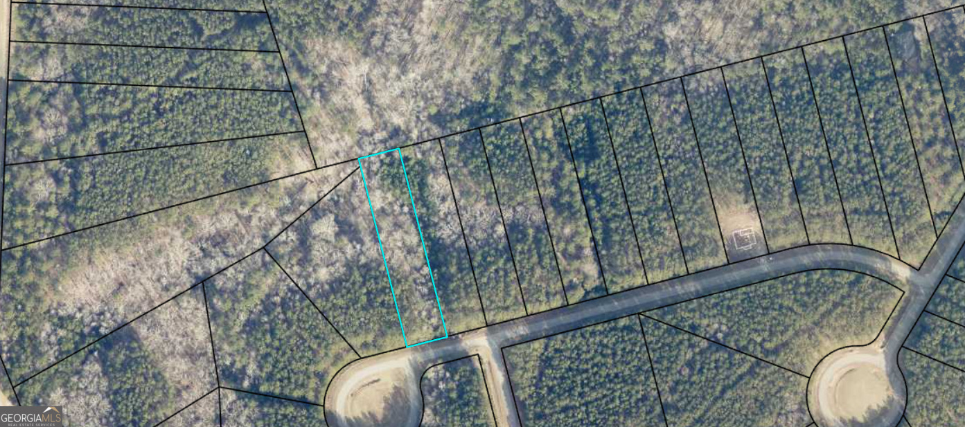 1117 Watersedge Cove Tignall GA 30668