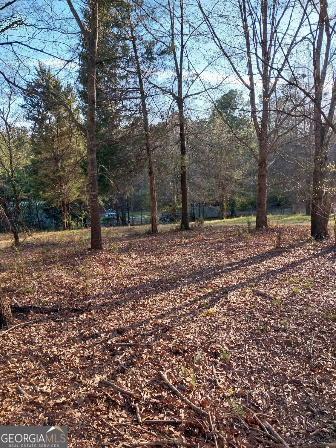 113 Miami Drive SE Silver Creek GA 30173