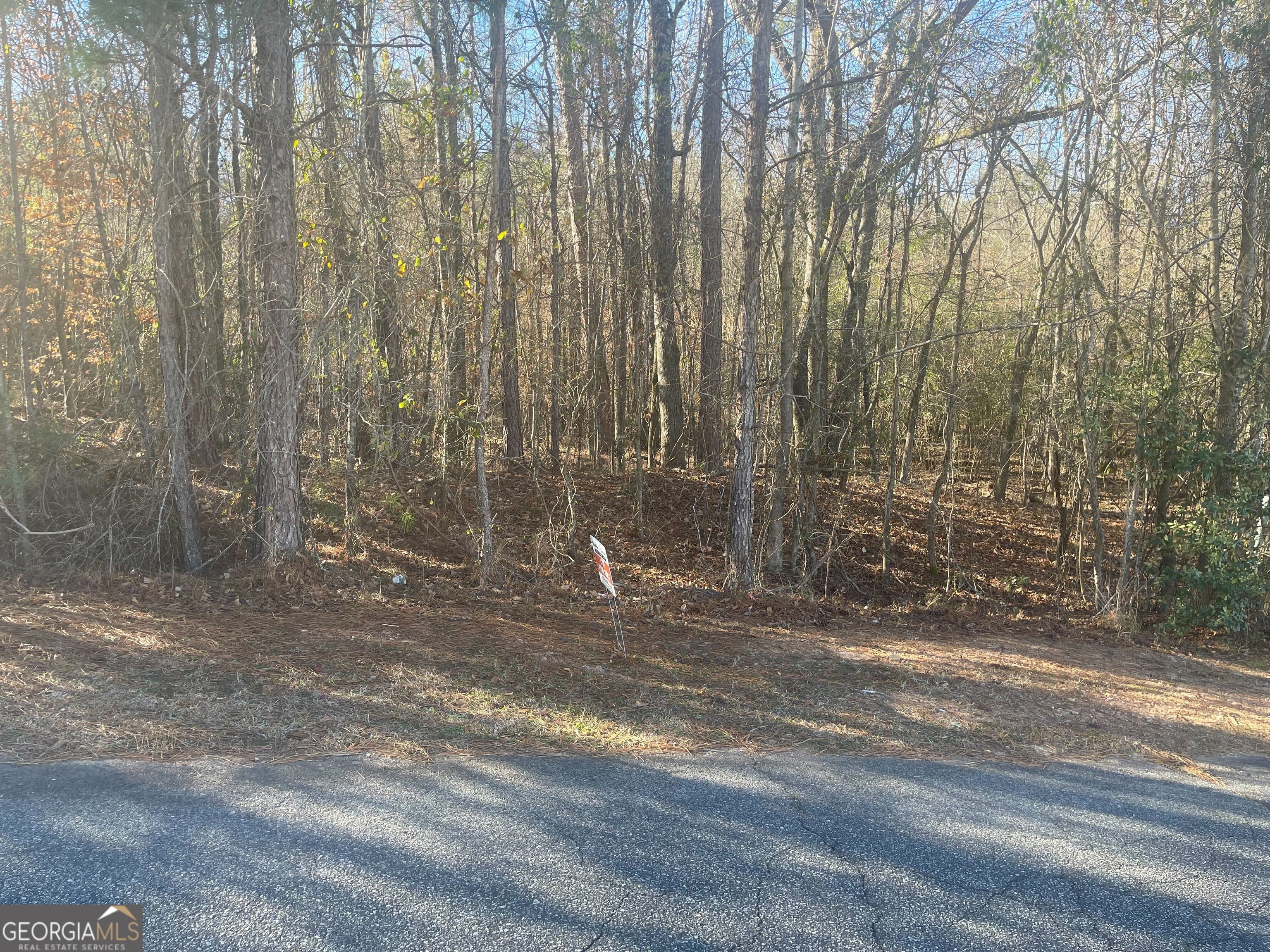 101 Waters Point Lizella GA 31052