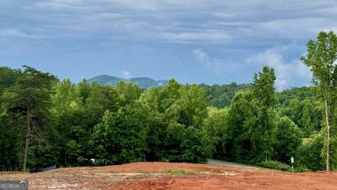 25 Caudell Drive Cleveland GA 30528