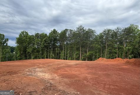 25 Caudell Drive Cleveland GA 30528