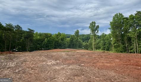 25 Caudell Drive Cleveland GA 30528
