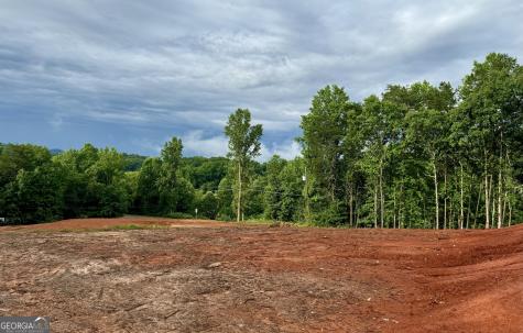 25 Caudell Drive Cleveland GA 30528