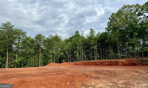 25 Caudell Drive Cleveland GA 30528