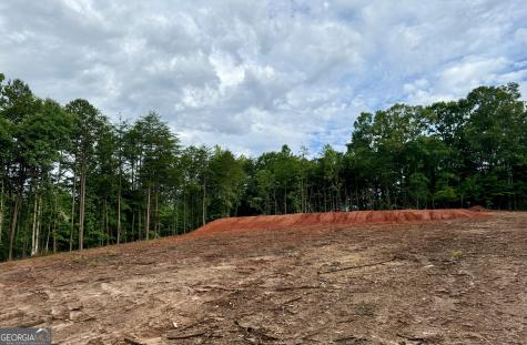 25 Caudell Drive Cleveland GA 30528