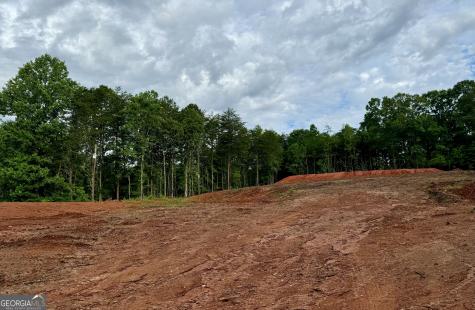25 Caudell Drive Cleveland GA 30528