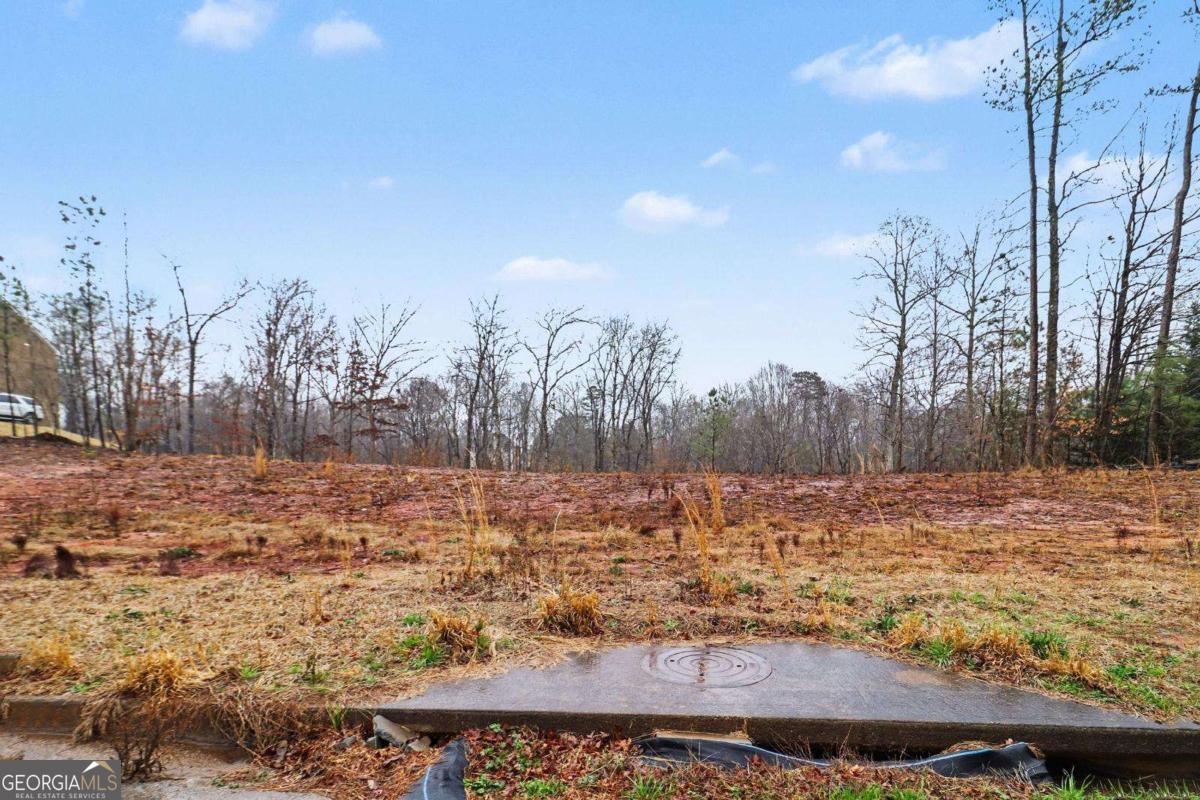 7464 Waterview Cove Douglasville GA 30135