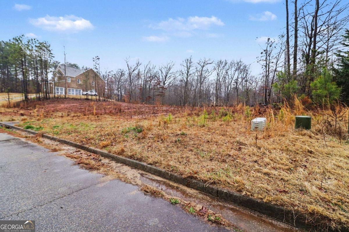 7464 Waterview Cove Douglasville GA 30135