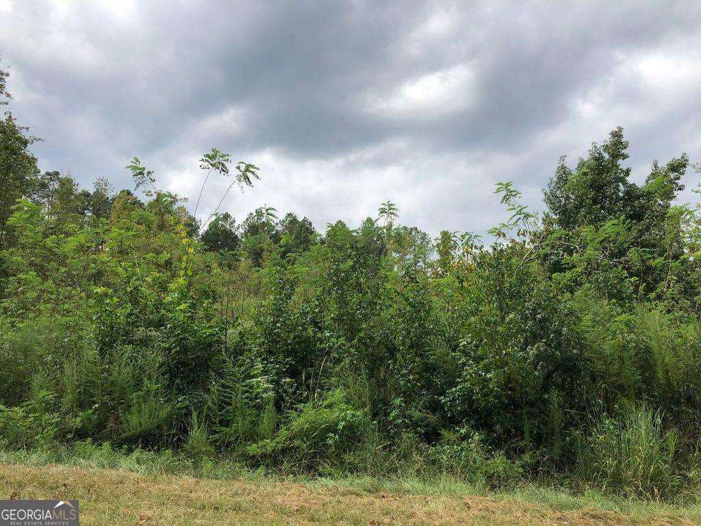0 Lakewood Drive Sparta GA 31087