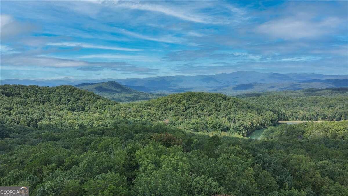 1905A Sweetwater Drive Clarkesville GA 30523
