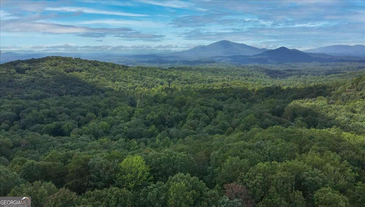 1905A Sweetwater Drive Clarkesville GA 30523