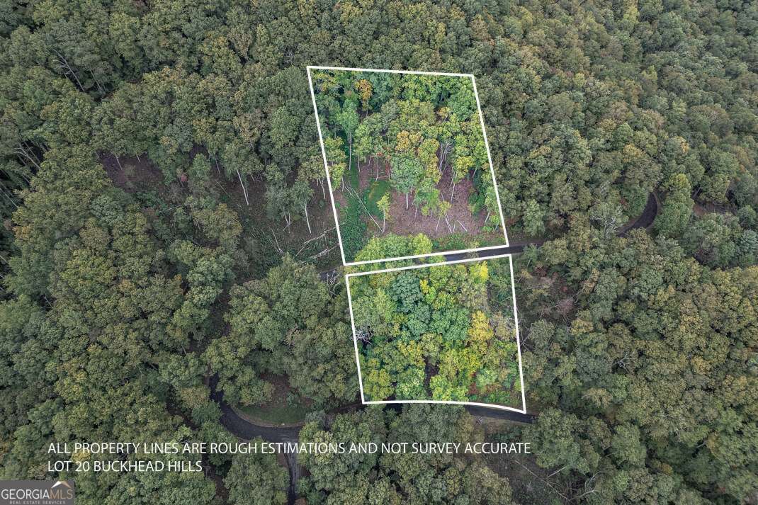 Lot 20 Buckhead Hills Hiawassee GA 30546