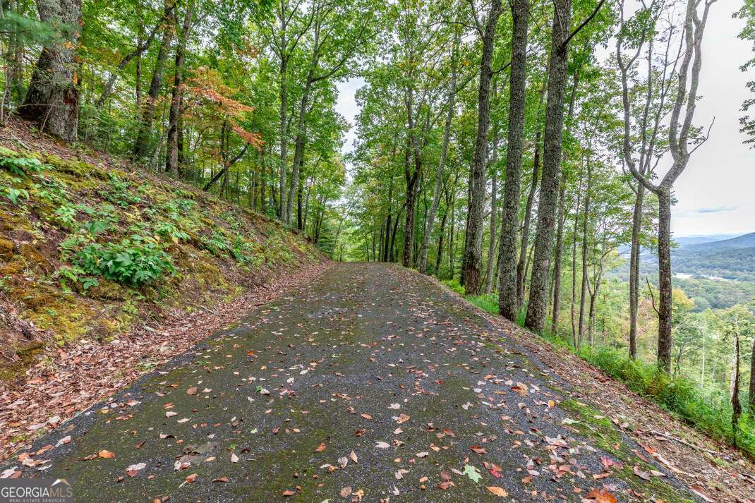 Lot 20 Buckhead Hills Hiawassee GA 30546